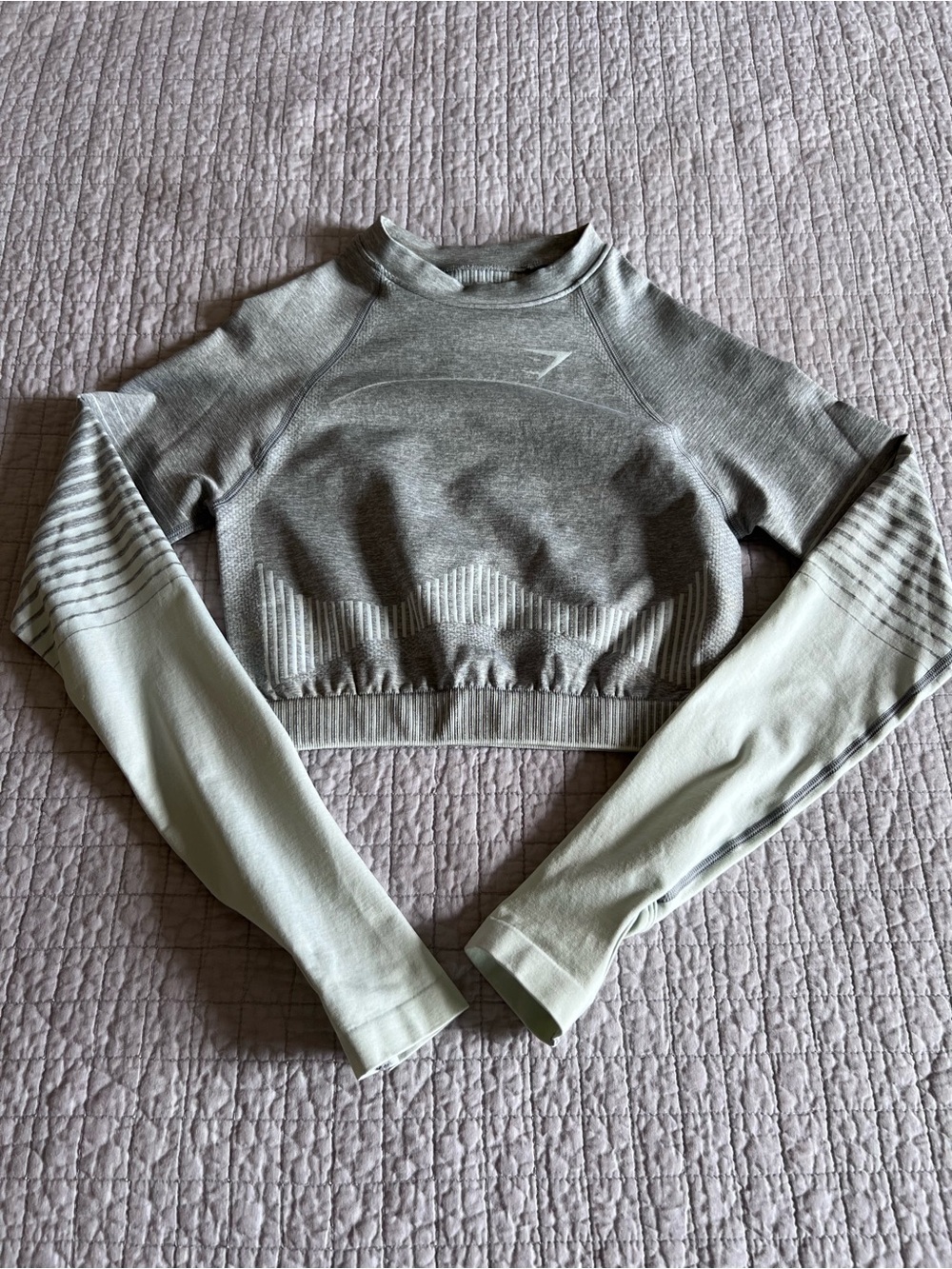 Gymshark Amplify Light Gray & Seafoam Green Cropped Seamless Long Sleeve Top